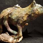 Cosmic Coyote
