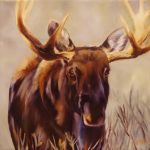 Sonia Reid Wildlife