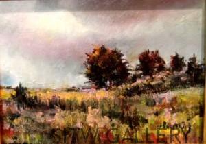 OLYMPUS DIGITAL CAMERA changing-weather-shirley-cleary