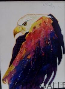 Eagle Acrylic J Nelson