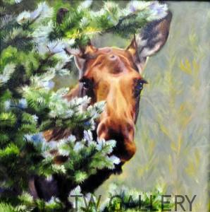 spruce moose oil painting sonia reid