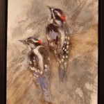 downey grey woodpeckers oil painting amy poor