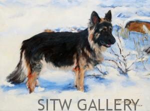 knee deep german shepherd oil painting margo petterson