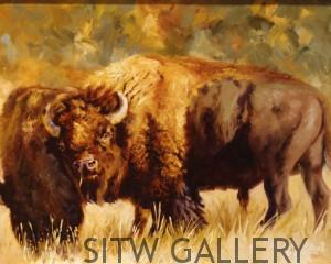 Western Charm, oil painting of buffalo/bison, by Sonia Reid