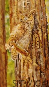 Owl Perching, oil painting, by Sonia Reid