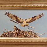 Nesting - Osprey, oil, Sonia Reid, SR1-26