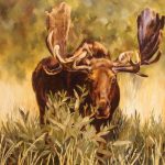 Custer, oil painting, Sonia Reid, Moose, SR1-30