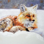 New Arrival – Wildlife by Sonia Reid