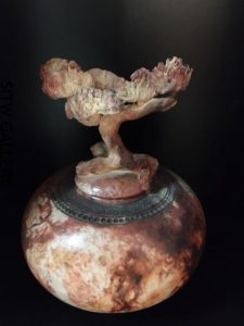 Jr1-2017-008 Raku Bonsai Pot 13" h x 10" w $350.00