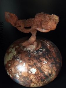 Jr1-2017-022 Raku Bonsai Pot 14" h x 11" w $425.00