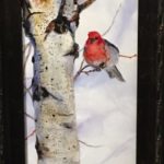 #78 Rosy 16" h x 11" w overall -13" h x 8" w I oil $895.00
